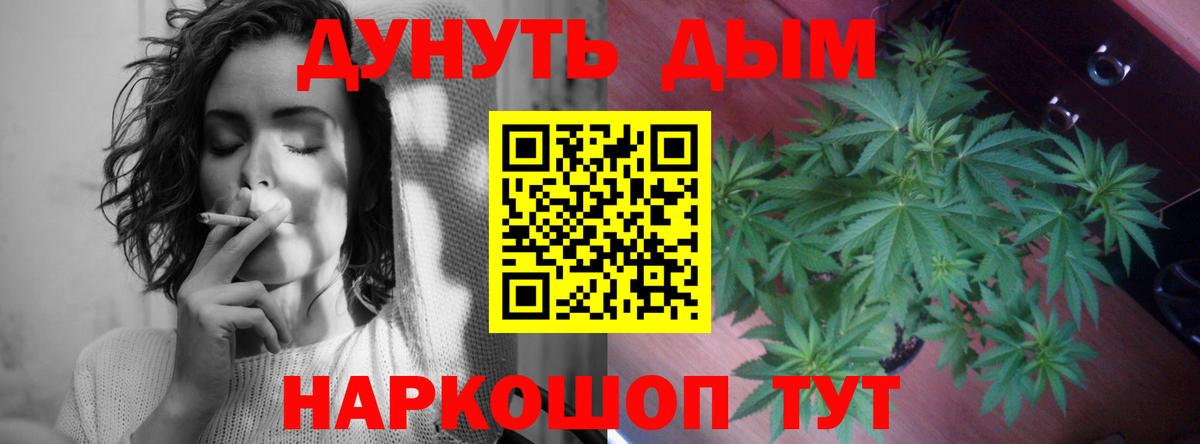 Бошки Шишки гибрид Будённовск